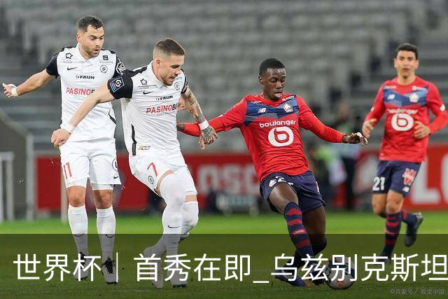 世界杯｜首秀在即 乌兹别克斯坦轻松备战